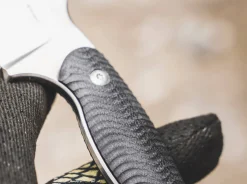 Accomplice D2><noscript><img width=