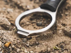 Accomplice D2><noscript><img width=