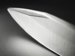 Barlow BFF><noscript><img width=