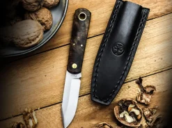 Barlow BFF><noscript><img width=