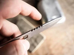 BFF Packlite><noscript><img width=