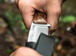 Blaze D2 Walnut><noscript><img width=