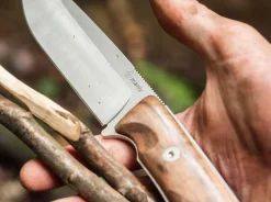 Blaze D2 Walnut><noscript><img width=