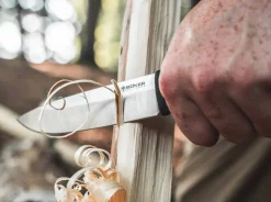 Bronco><noscript><img width=