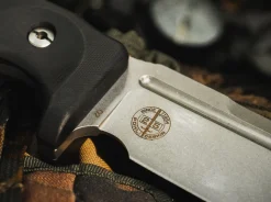 Collection 2020><noscript><img width=