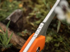 EFD><noscript><img width=