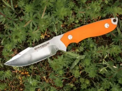 EFD><noscript><img width=