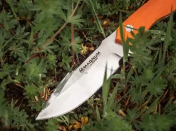 EFD><noscript><img width=