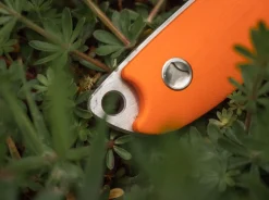 EFD><noscript><img width=