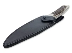 Esculta Hirschhorn><noscript><img width=