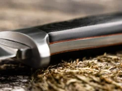 Newenche><noscript><img width=