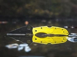 Pacific Salt 2 Yellow><noscript><img width=