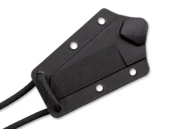 S.P.I.T.><noscript><img width=