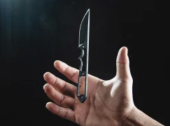 Street Spike><noscript><img width=