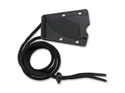 Tailbone><noscript><img width=