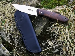 TNT><noscript><img width=