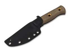 Vigtig><noscript><img width=