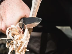 Vigtig><noscript><img width=