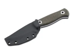 Vigtig vs. Wild><noscript><img width=