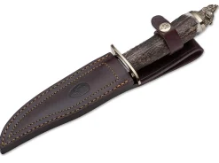 Wildboar Hirschhorn>Muela Online