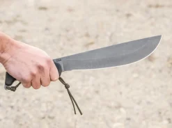 Yacare><noscript><img width=