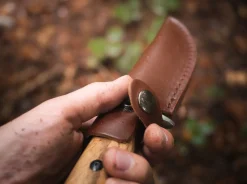 Zebra Drop><noscript><img width=